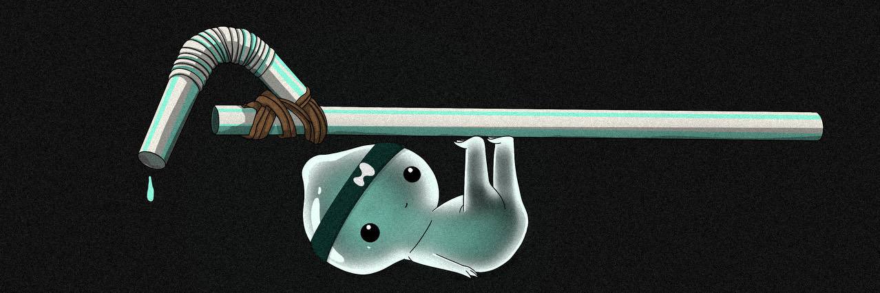 PiP Intern 💦's banner