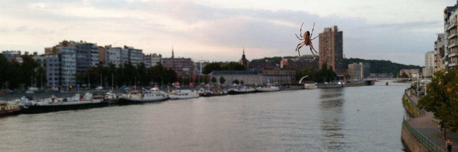 leiza47's profile banner image