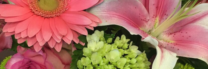 @Jonnai2💁🏽‍♀️ banner