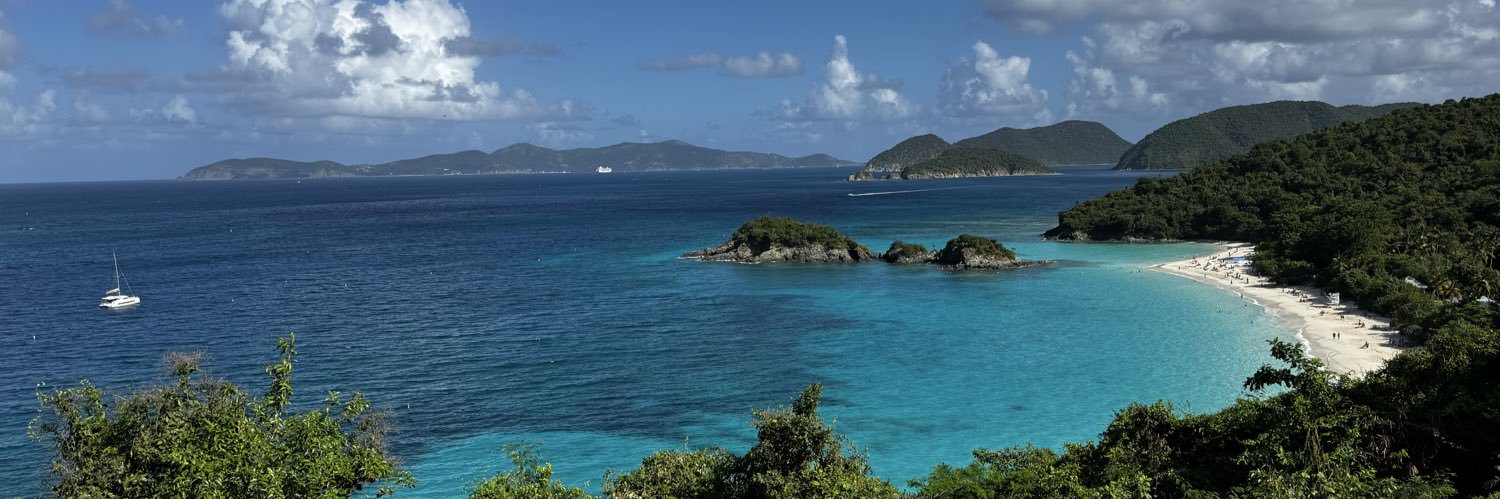 Michael Pimentel banner