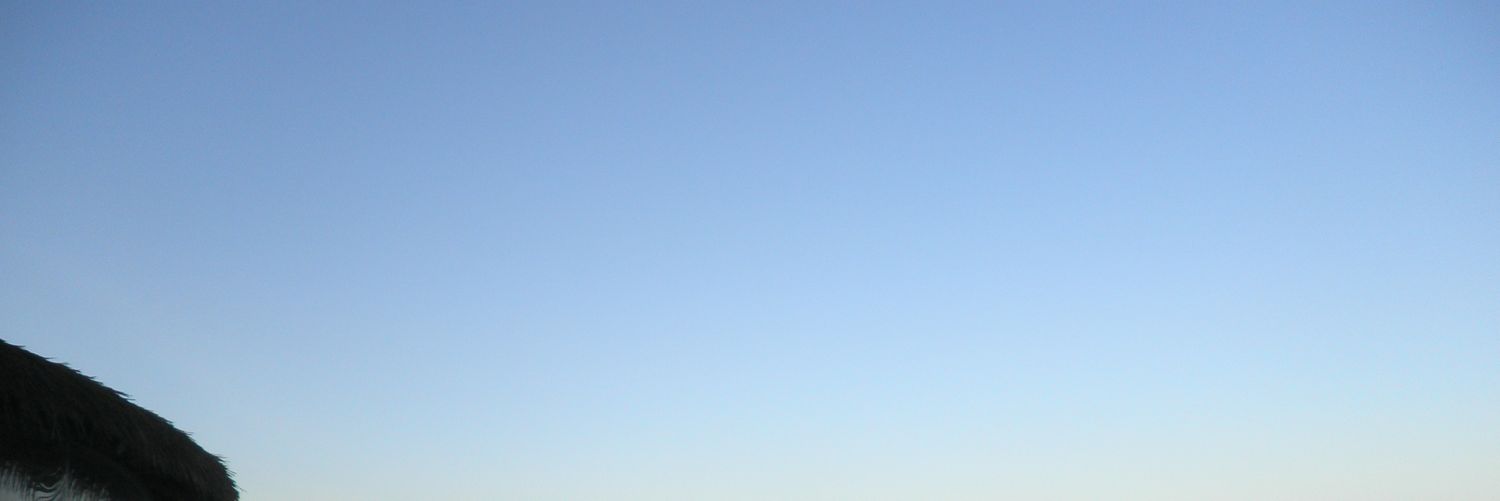 nyasrtan's profile banner image