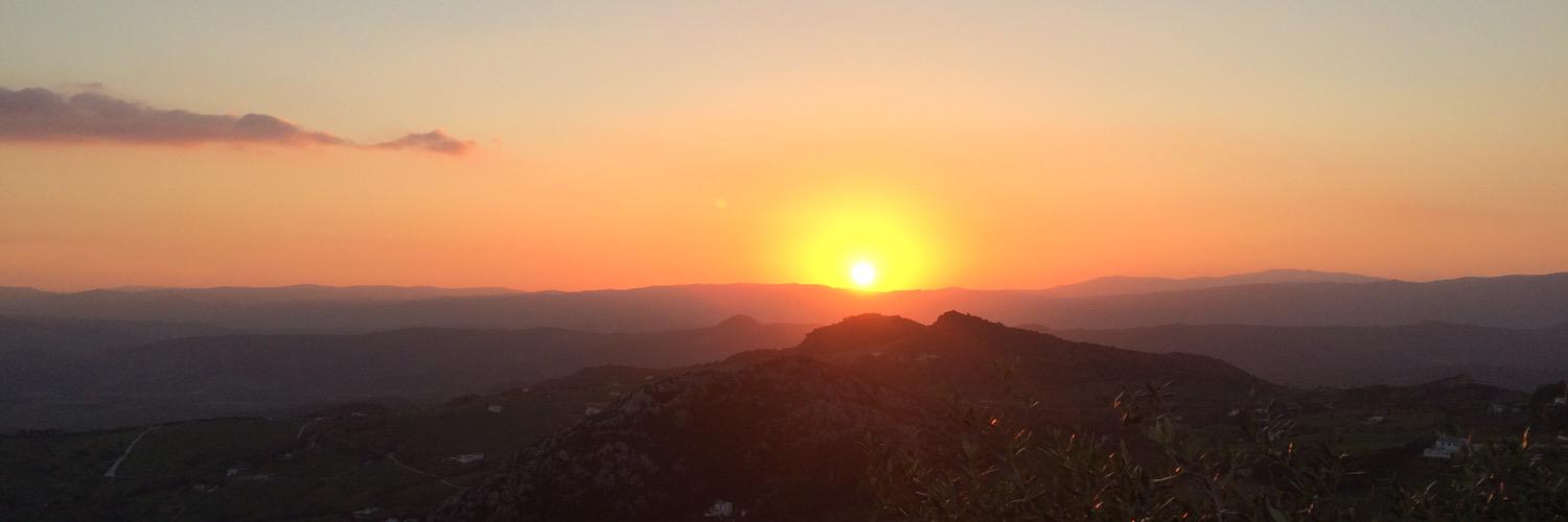 °•○●Inés●○•° banner