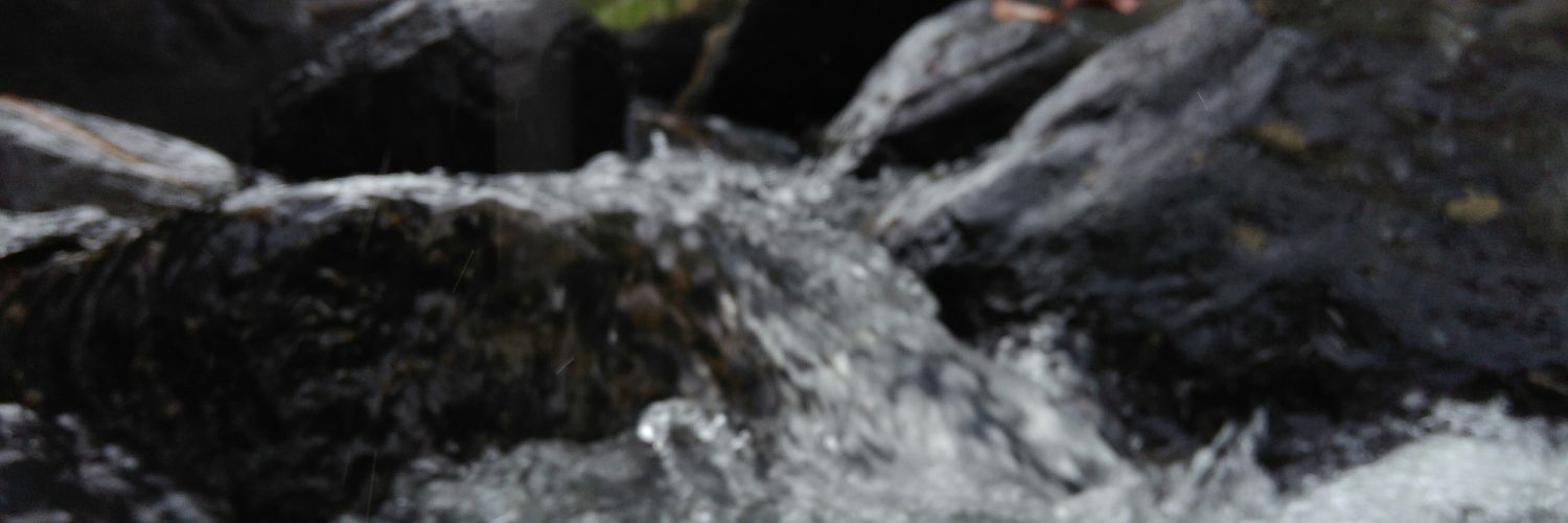 Harharoe's profile banner image