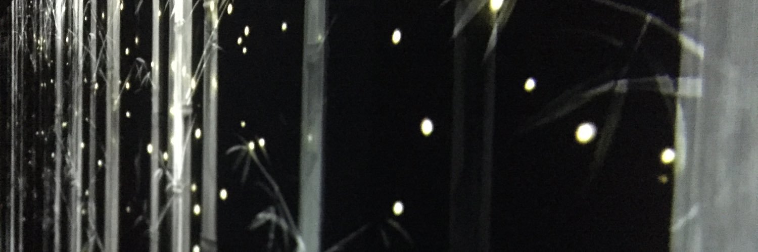 Sora_Aria's profile banner image