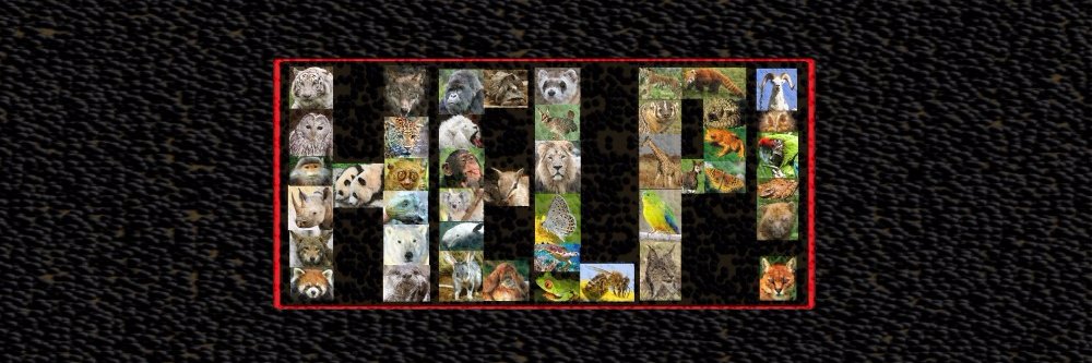 QuantumLeopard's profile banner image