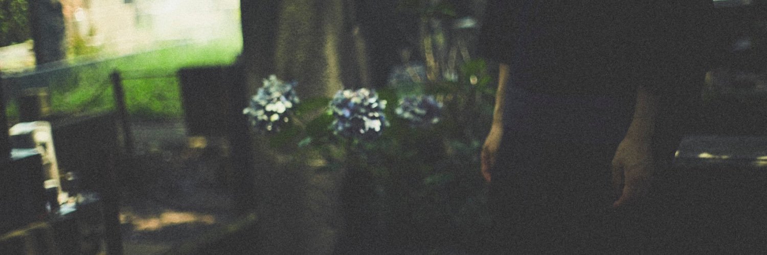 no_i___'s profile banner image