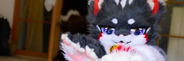 chibi_catto Profile Banner