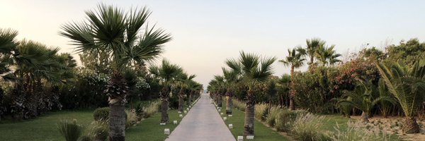 albin_dave Profile Banner