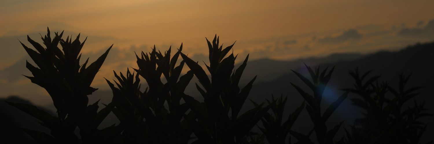 bukandaritimur's profile banner image