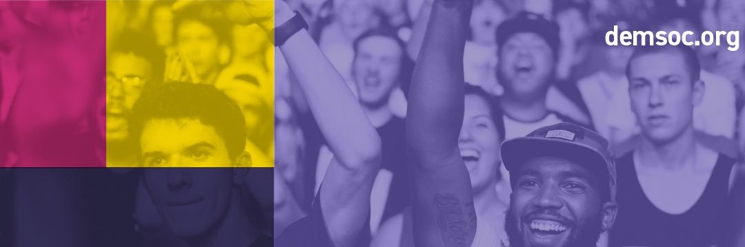 Democratic Society banner