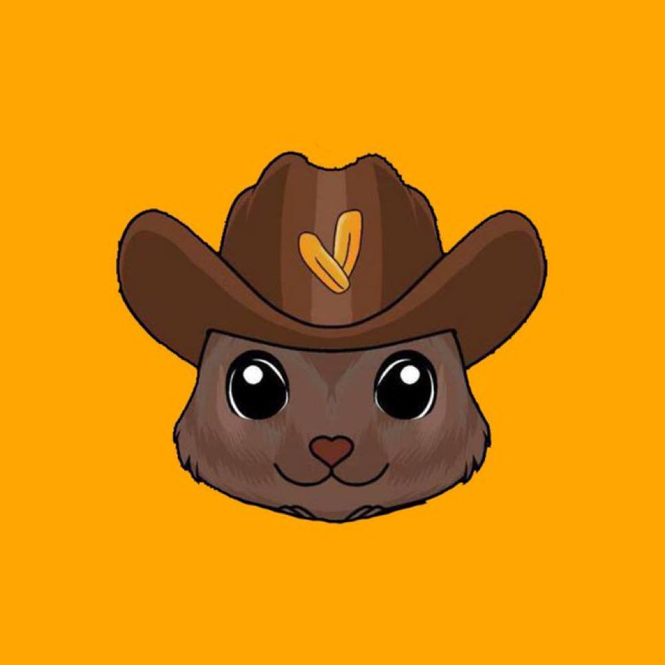 HoneyBooBooMeme's profile banner image