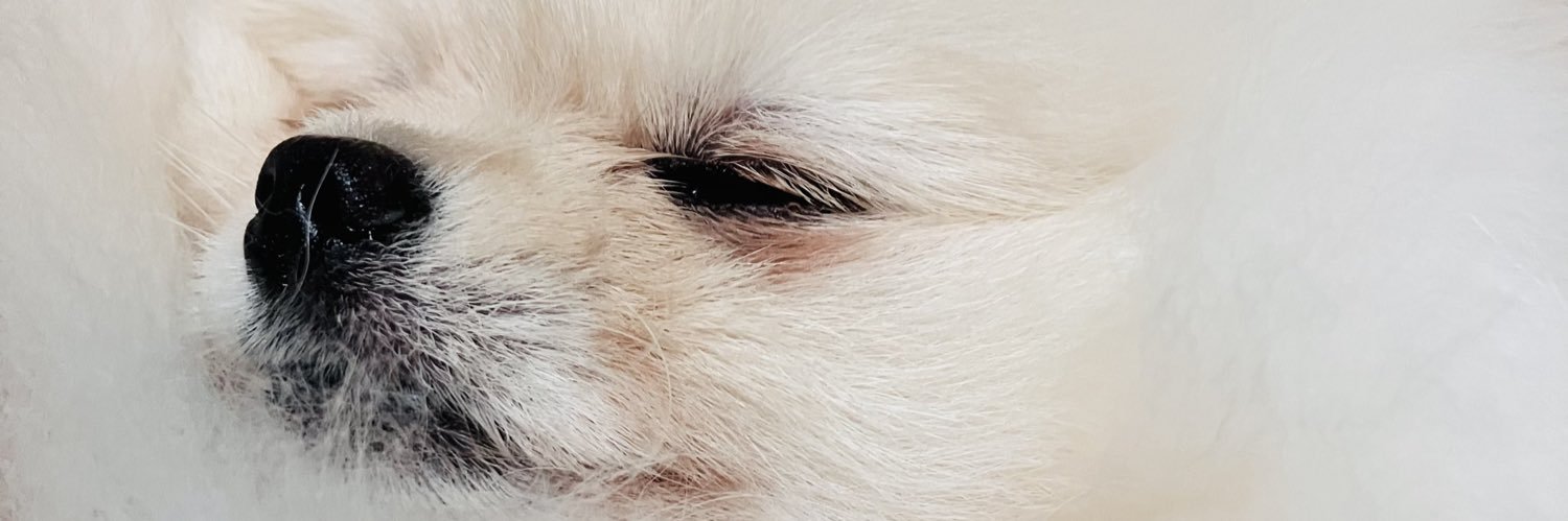 kovine2000's profile banner image