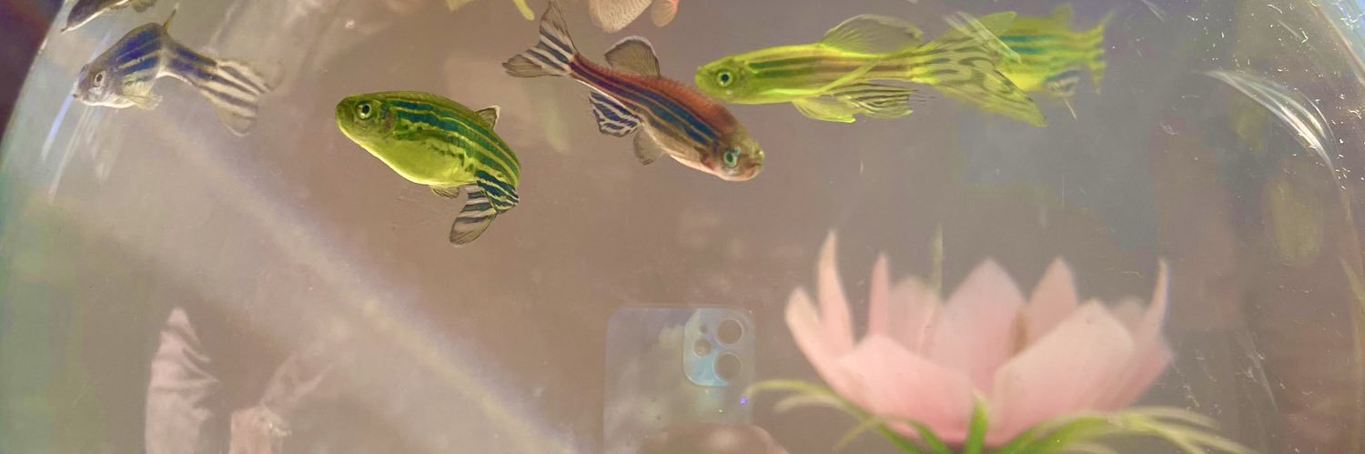 Amnyarnya's profile banner image