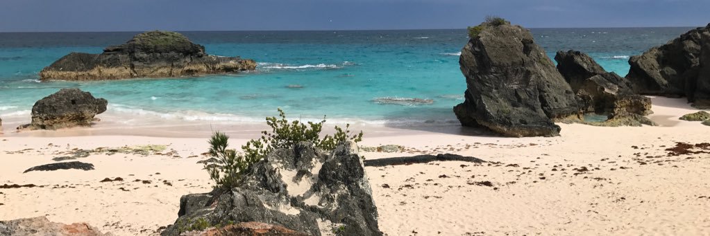 momma_v7's profile banner image