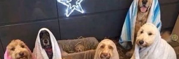 waysandmeans71 Profile Banner