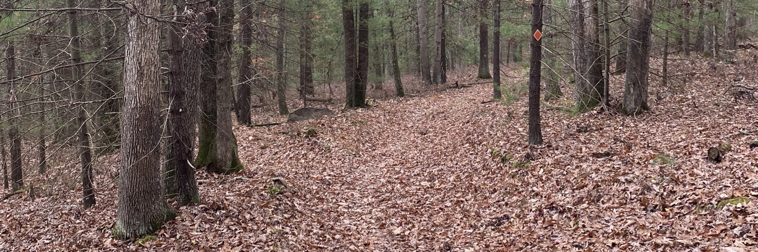 balmerchick ❤❤ banner