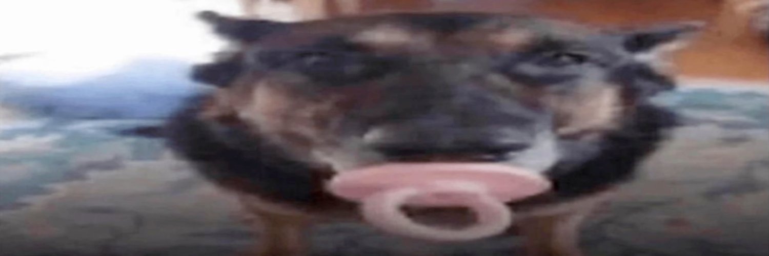 sableslop's profile banner image