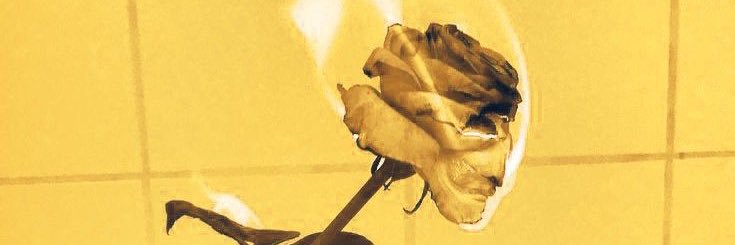 terrixble's profile banner image