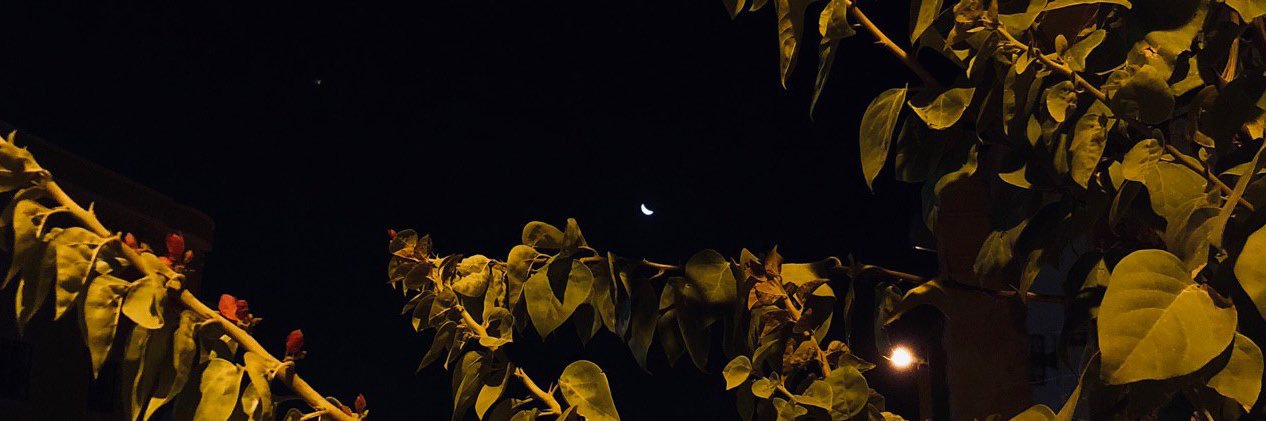 rwq22's profile banner image