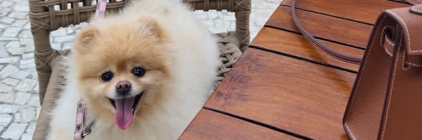 Jaybhotc's profile banner image