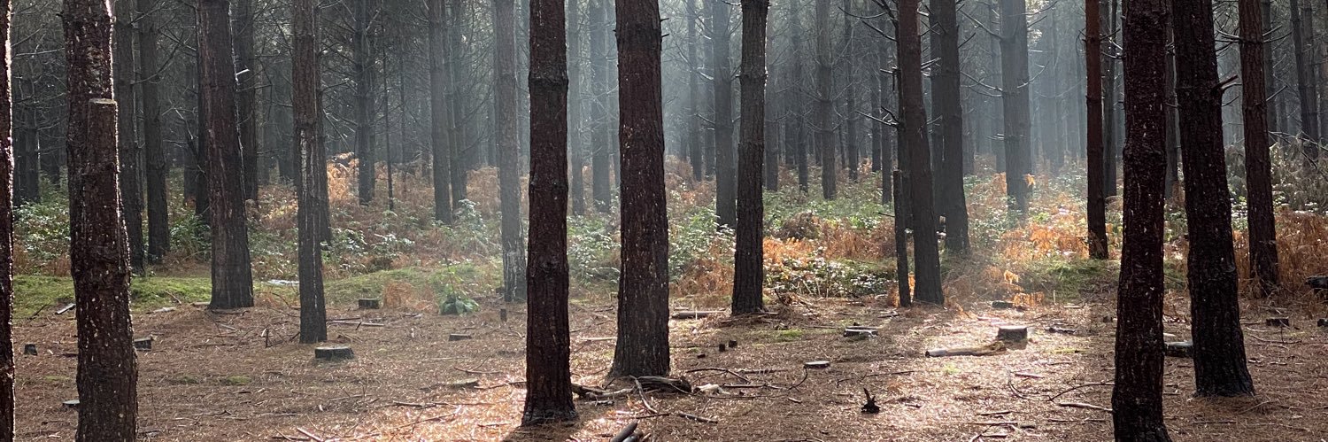 HarryRJohns's profile banner image
