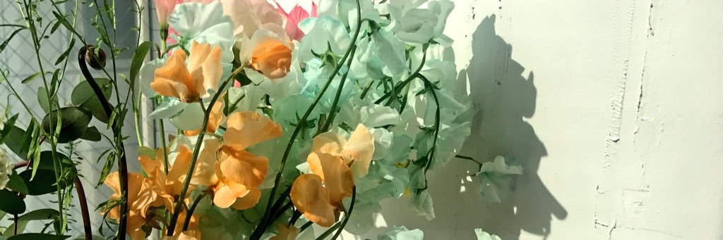 machi_okabe's profile banner image