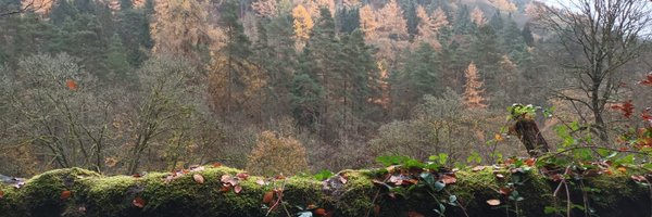 _Poots_ Profile Banner