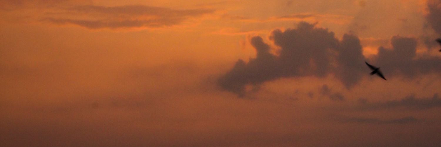 vrooooommmmmm's profile banner image
