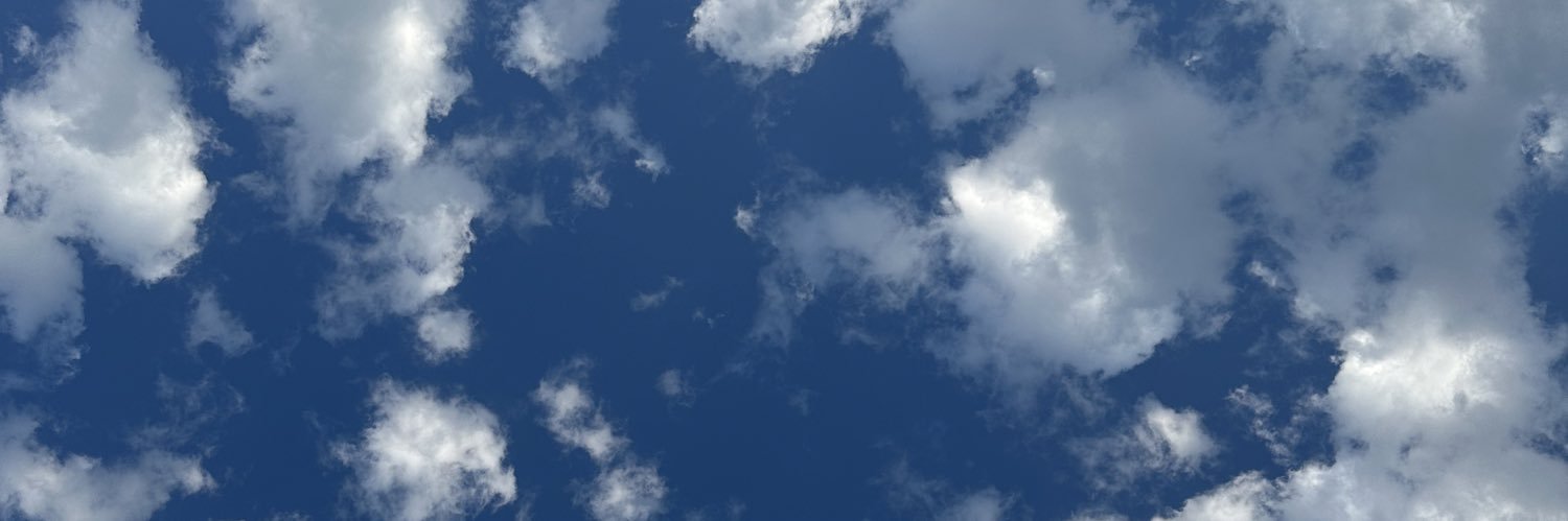 CryptAnonymouss's profile banner image