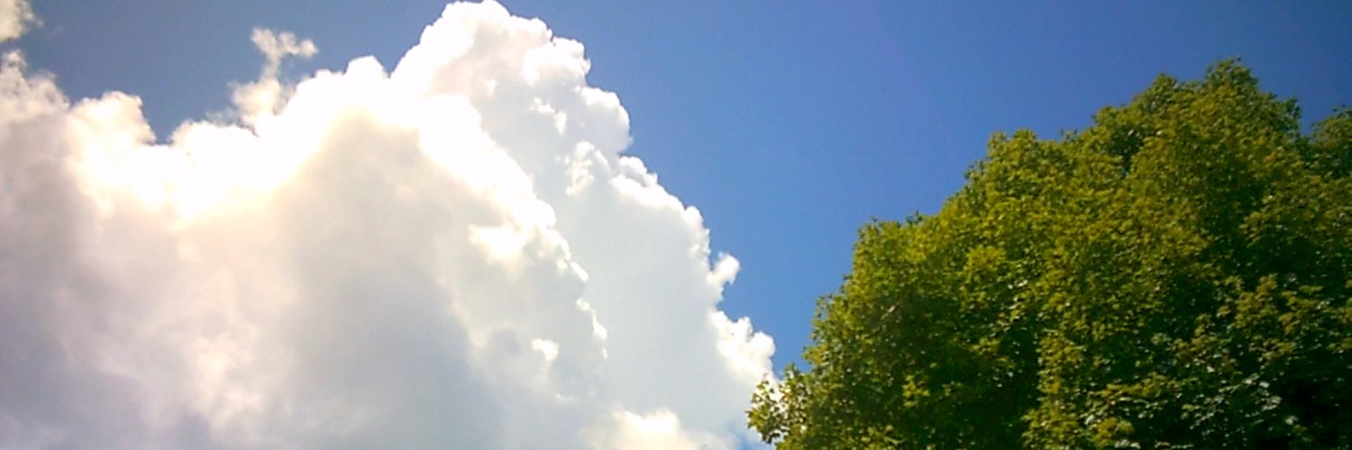 Colt banner