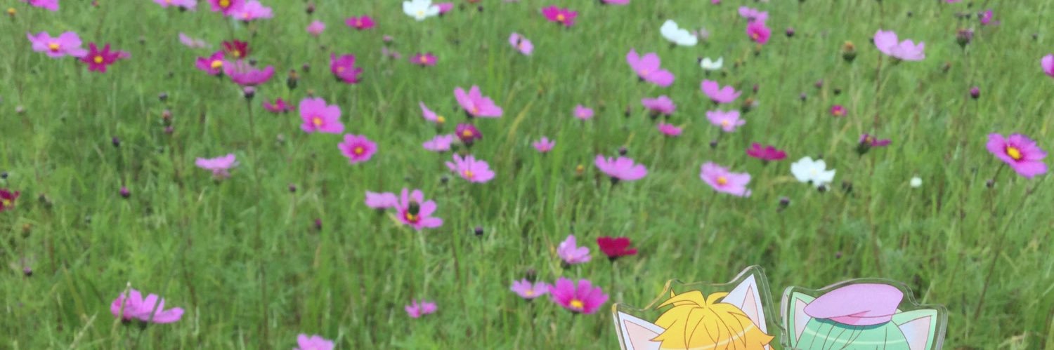 こくる💎HB banner