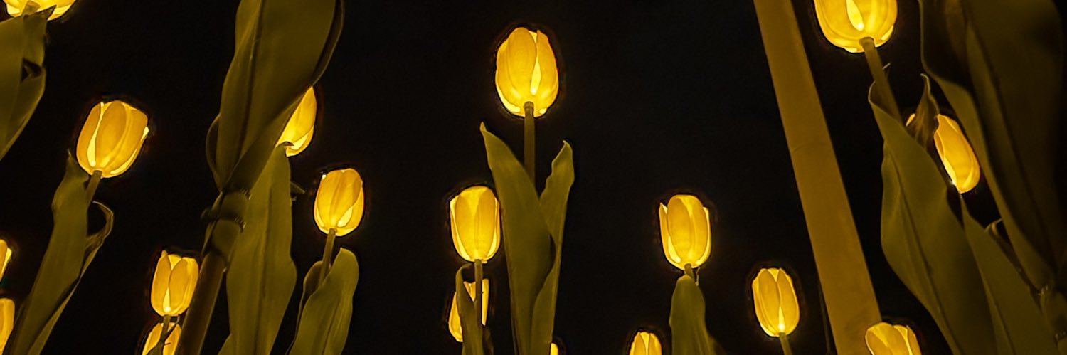 bluemoonsweet's profile banner image