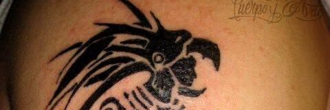 Mikel Alcibar banner