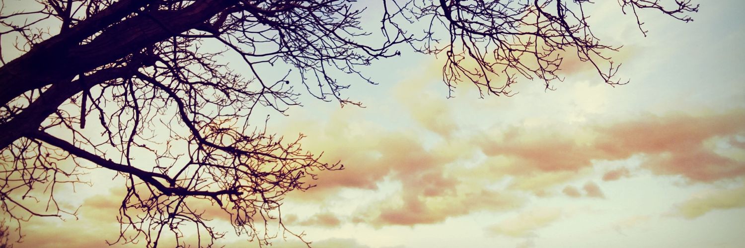 evadelas's profile banner image