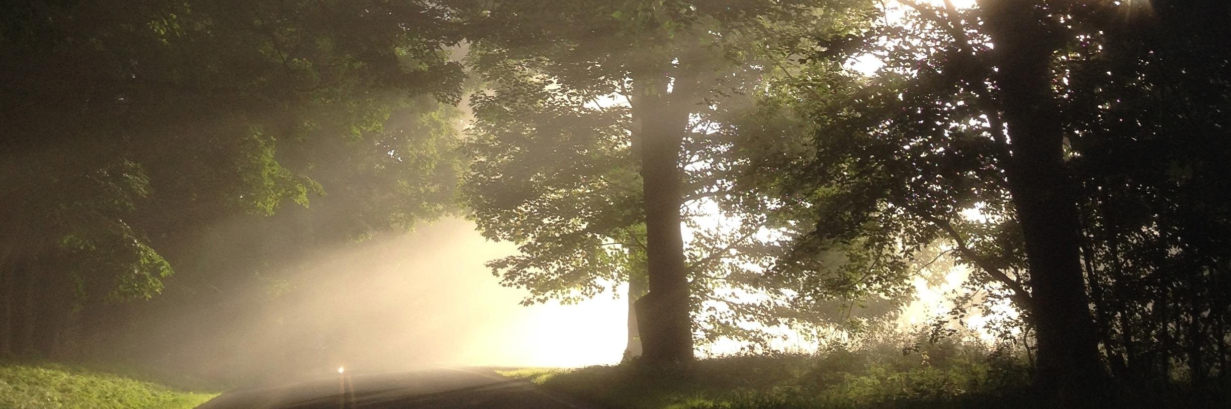 KimberlyJordanAllen banner