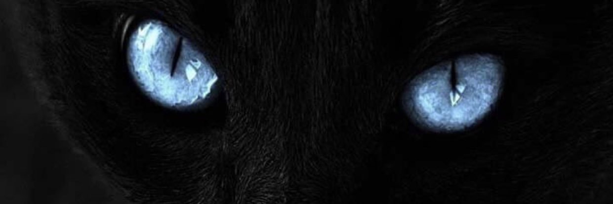 EL L E E🌗 banner