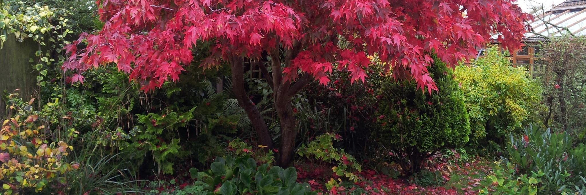 HHorticulture's profile banner image
