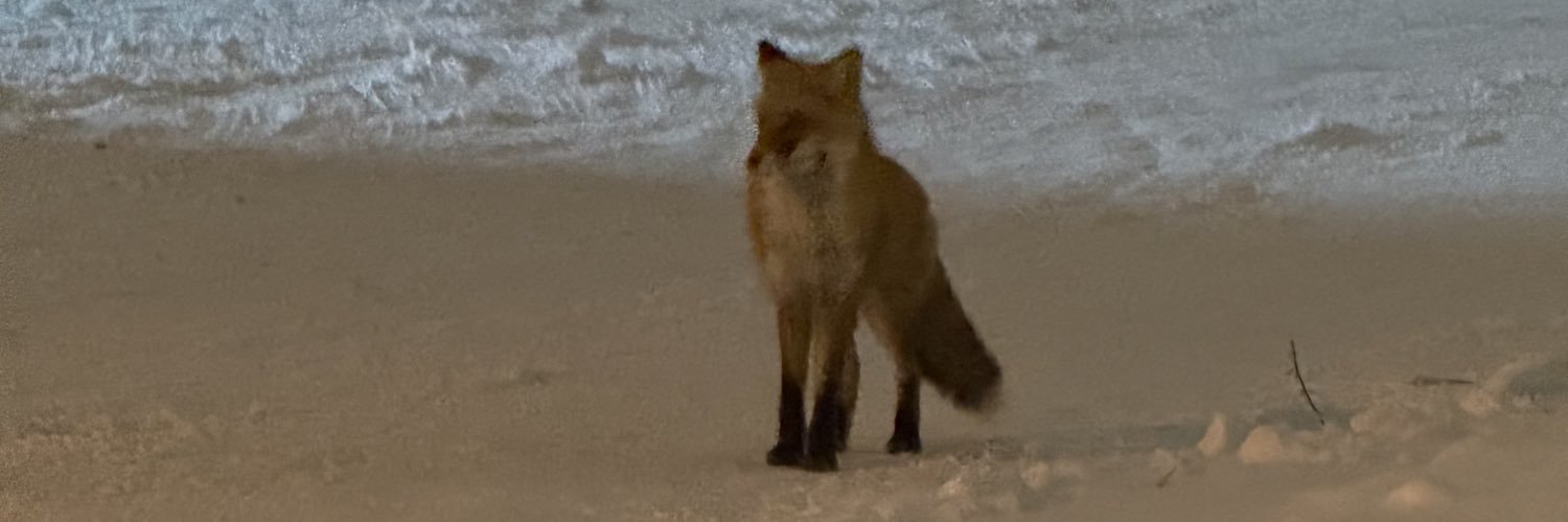 ゆきちゃんまる banner