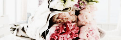 palvinallgdr__'s profile banner image