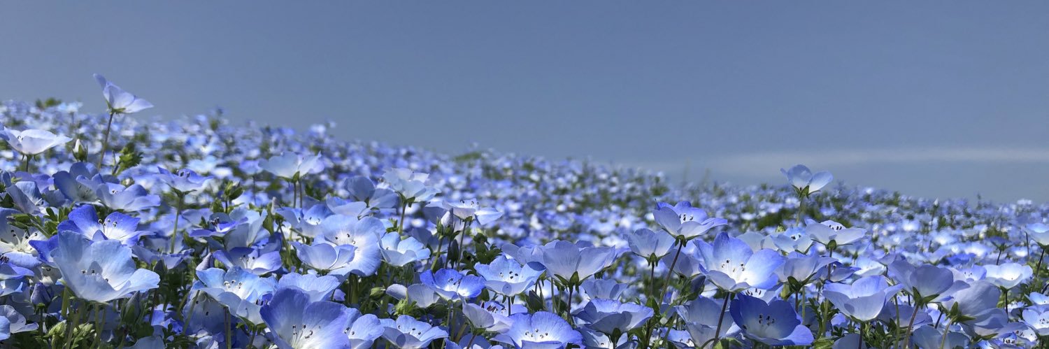 Luna_drops's profile banner image