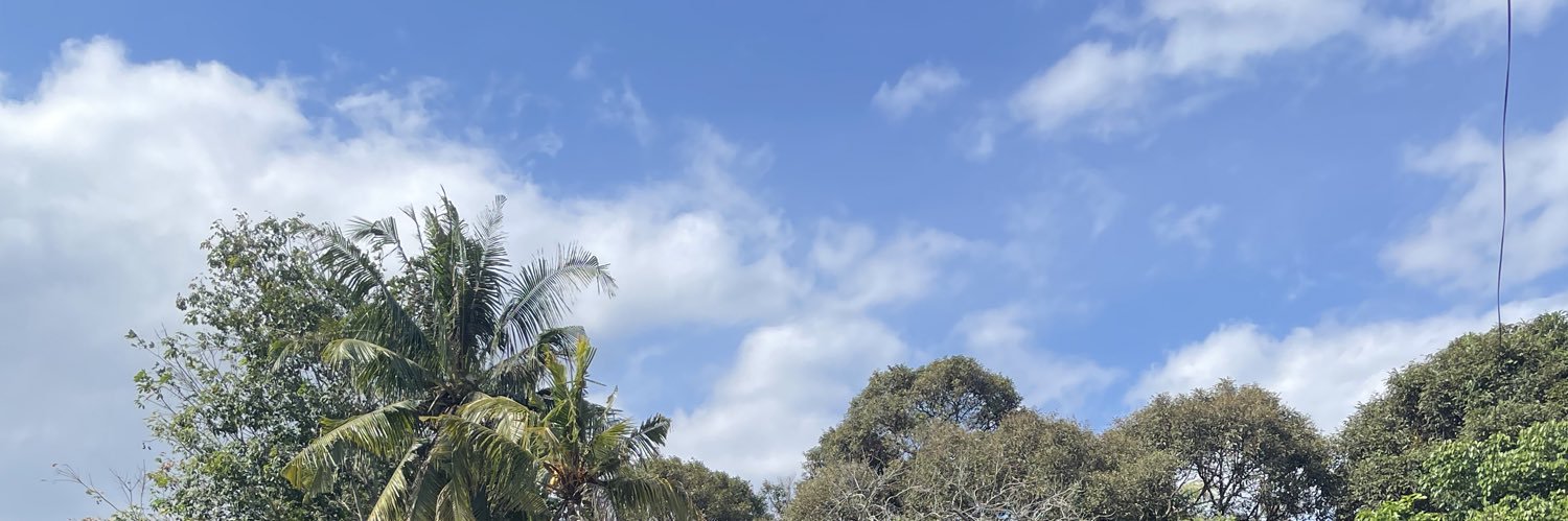gee8298's profile banner image