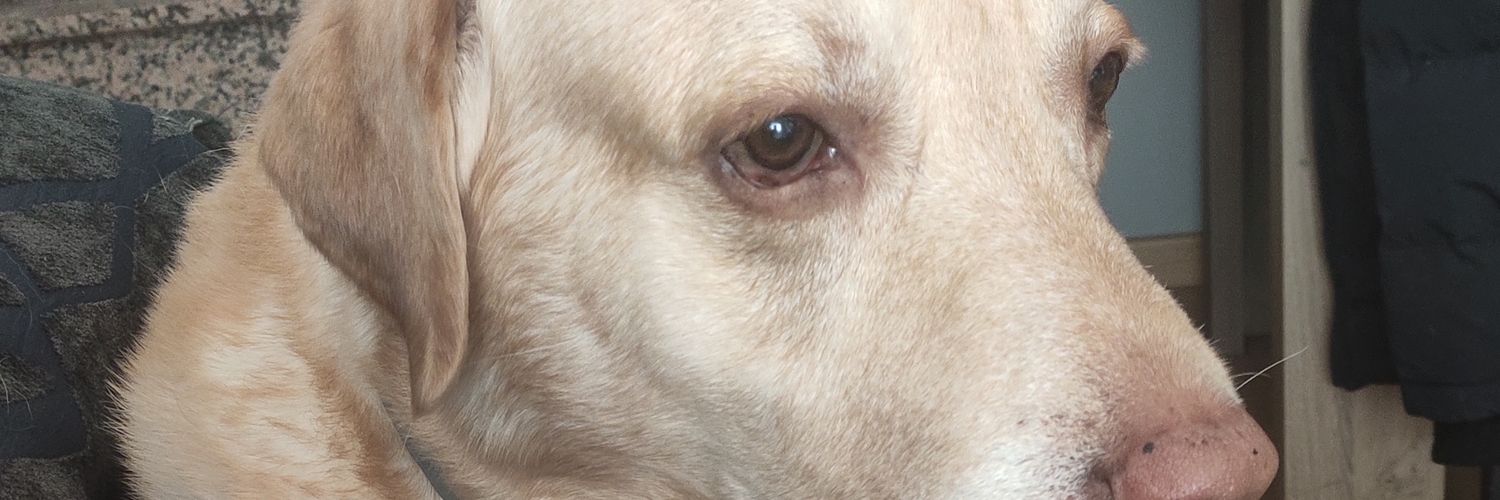 migel_de_ducha banner