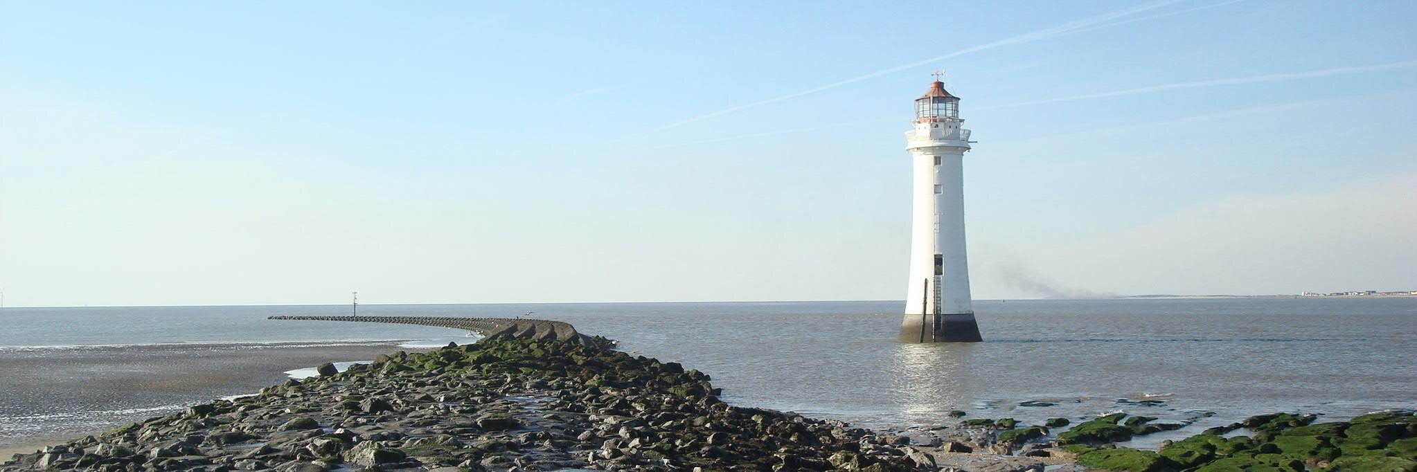 Drunken Monkey 🐒 banner