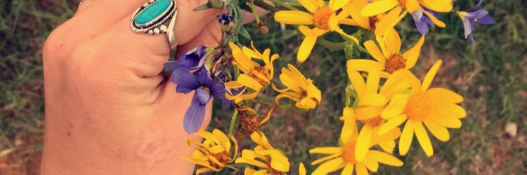 kaitturnup's profile banner image