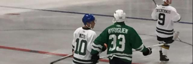 Rams Hockey 101 banner