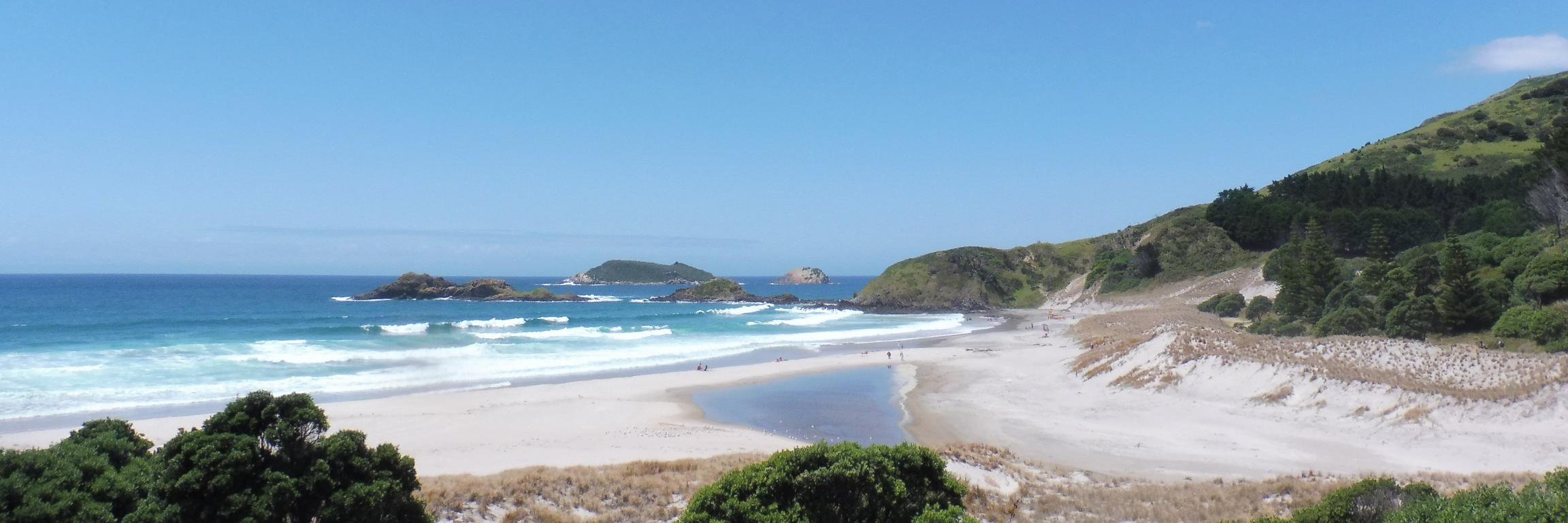 Boz23 Clan McLaren/Reid Ngapuhi/Ngati Rahirii banner
