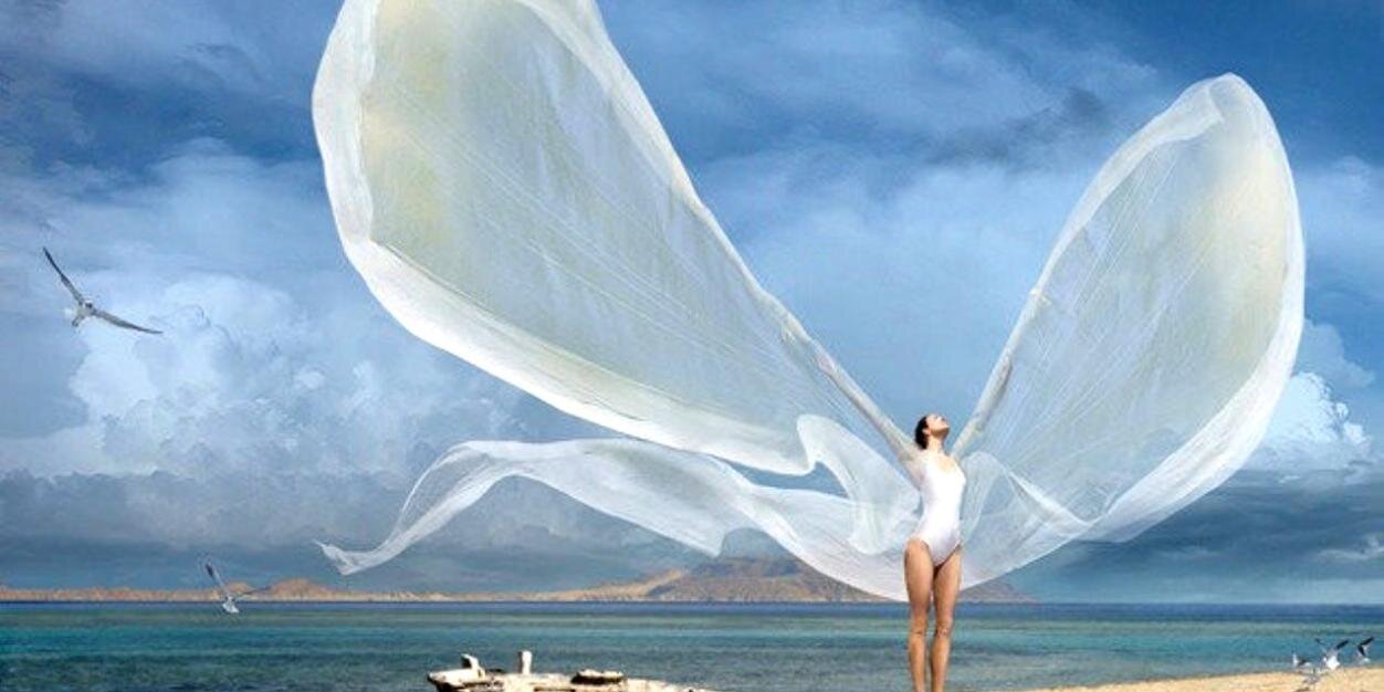 EDIG DIAZ banner