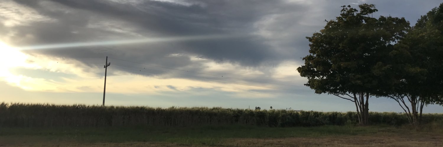 PerladeAngeles's profile banner image
