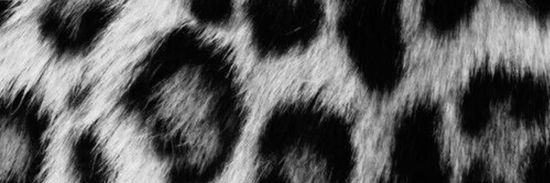 haileygordonnn's profile banner image
