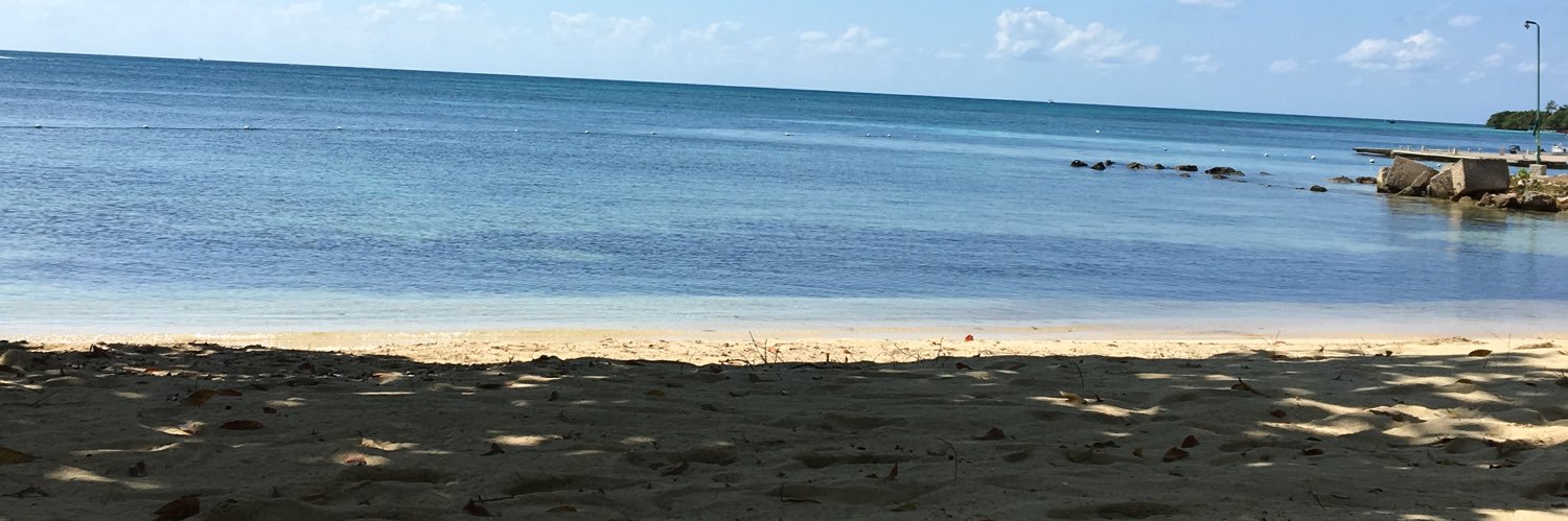 shells166's profile banner image